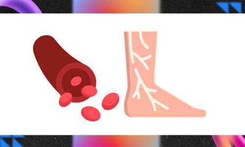 veins and blood circulation