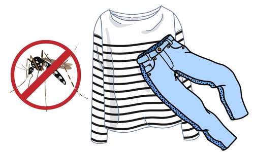 wear pants and long sleeves